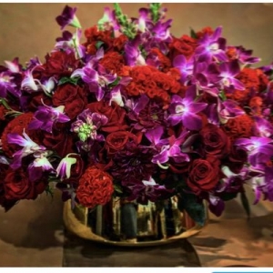 Photo of Rosa Rosa Flowers