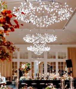 Photo of Designs By Ahn