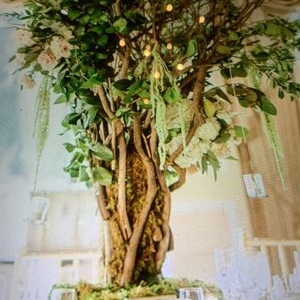 Photo of Pedestals Floral Decorators