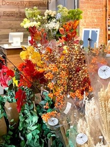 Photo of Damselfly Designs