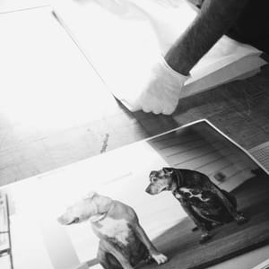 Photo of Print Space
