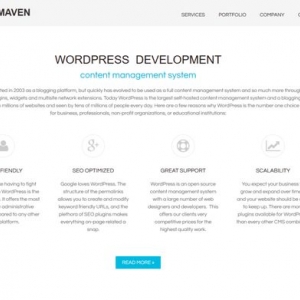 Photo of Web Maven