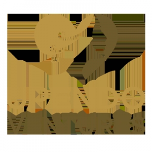 Photo of Upendo Ventures