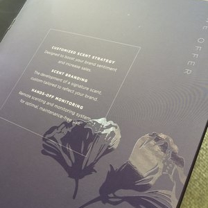 Photo of Rush Flyer Printing