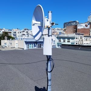 Photo of Monkeybrains
