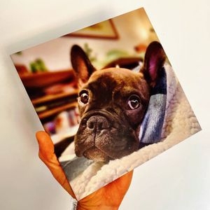 Photo of Davis Sign Co.