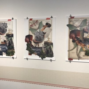 Photo of Galeria de la Raza