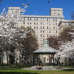 Photo of International House