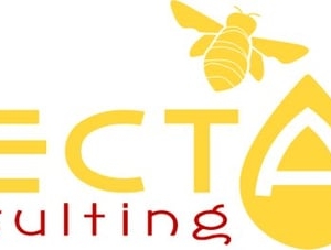 Photo of Nectar Consulting