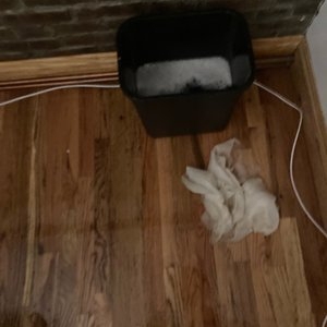 Photo of Brooklyn Prime