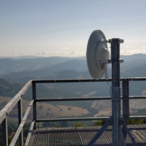 Photo of WebPerception