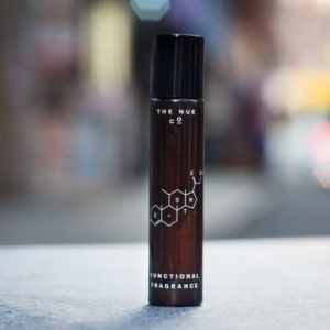 Photo of Ascent NY