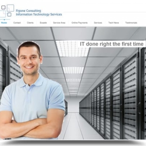El Cerrito Figone Consulting