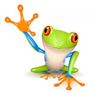 New York Coqui-IT LLC