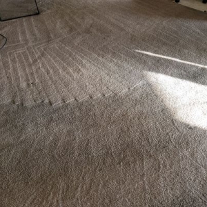 Photo of Go Green Cleaning Service