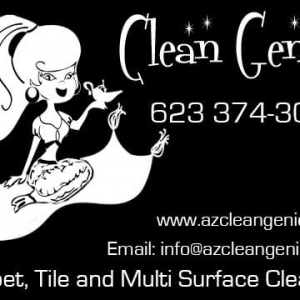 Photo of Clean Genie
