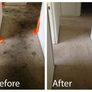 Photo of Green and Clean Services