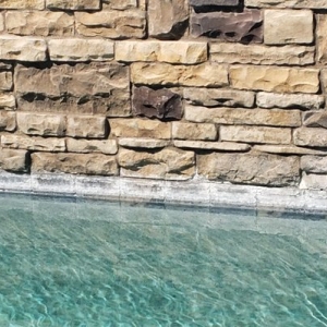 Photo of Pool Rehab