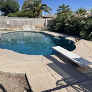 Photo of Elite Pool Management