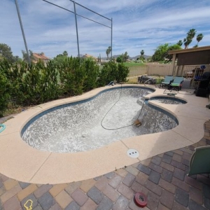 Photo of Elite Pool Management