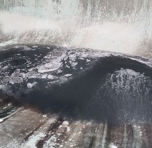 Photo of Dolphin Pool Maintenance