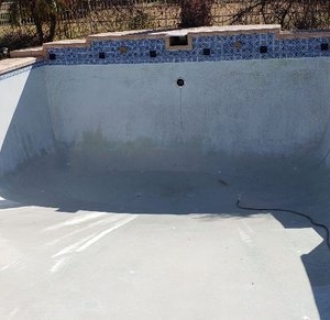 Photo of Dolphin Pool Maintenance