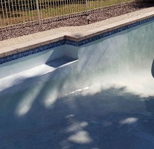 Photo of Dolphin Pool Maintenance