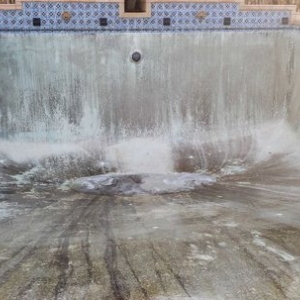 Photo of Dolphin Pool Maintenance