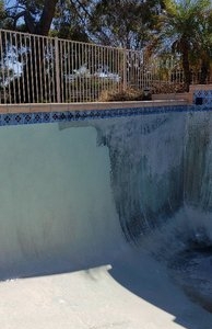Photo of Dolphin Pool Maintenance