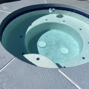Photo of Pink Dolphin Pool Care