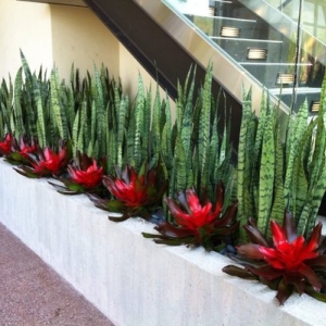 Photo of Plant Solutions