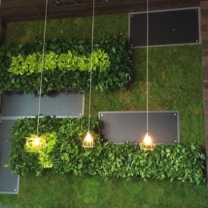 Photo of Plant Solutions