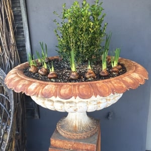 Photo of Willows Fine Goods and Design