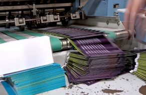 Photo of Biltmore Pro-Print