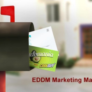 Photo of BMD Printing & Business Services