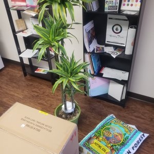 Photo of Hobby Print USA