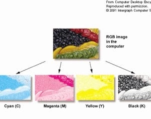 Photo of Can-DO Printing