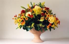 Photo of Flowers For Him