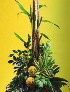 Photo of Flowers For Him
