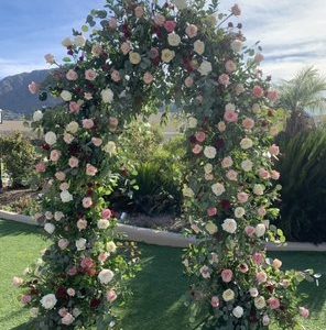 Photo of EAST Arrowhead Flowers