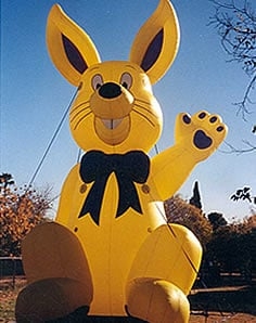 Phoenix Arizona Balloon