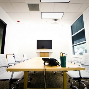 Photo of Blue Aspen Marketing
