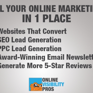 Photo of Online Visibility Pros