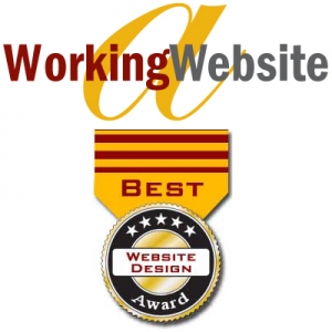 Photo of A Working Website