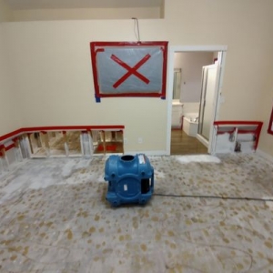 Photo of Zona Restoration