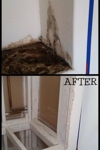 Photo of Zona Restoration
