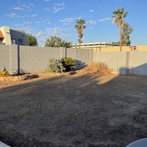 Phoenix Tough Turtle Turf - Phoenix