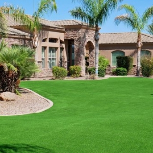 Photo of Always Green Turf