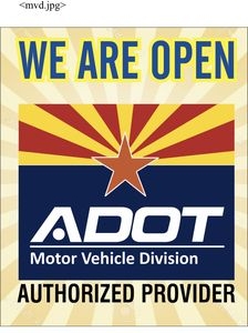 Phoenix TCM Insurance & Motor Vehicle