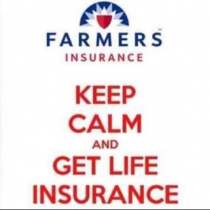 Photo of Farmers Insurance - Kristine Vizzerra
